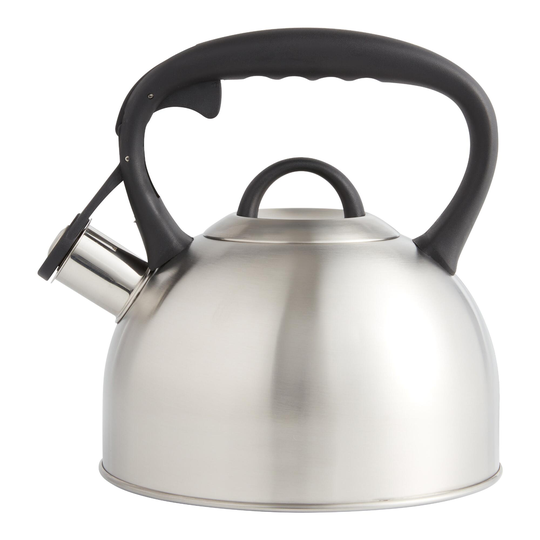 Stainless Steel and Black Tea Kettle: Silver by World Market