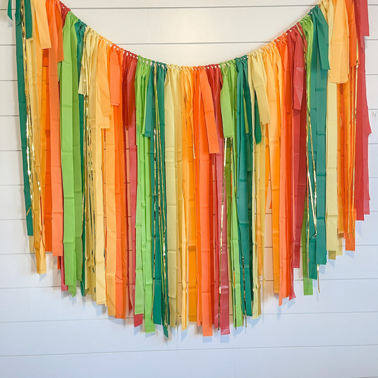 Fiesta Fringe Backdrop, Streamer Birthday Party Party, Sunshine
