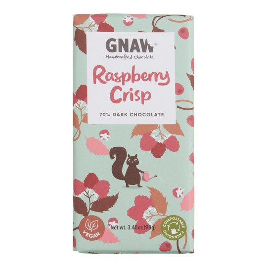 Gnaw Raspberry Crisp Dark Chocolate Bar Set Of 3 by World Market