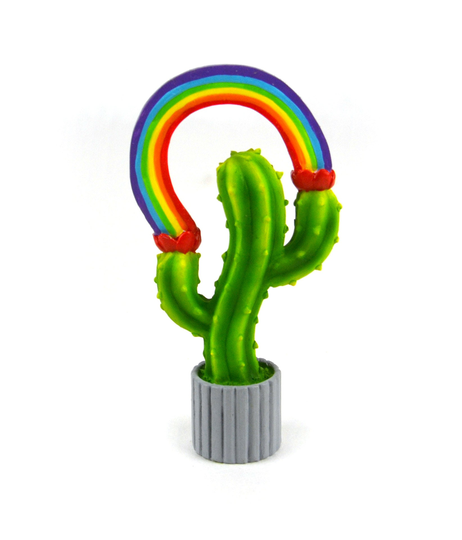 Rainbow Cactus Plant, Miniature