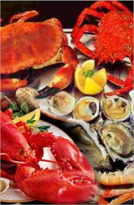Ultimate Collection of Seafood Recipes - 1000 seafood recipes eBook Legend Editor