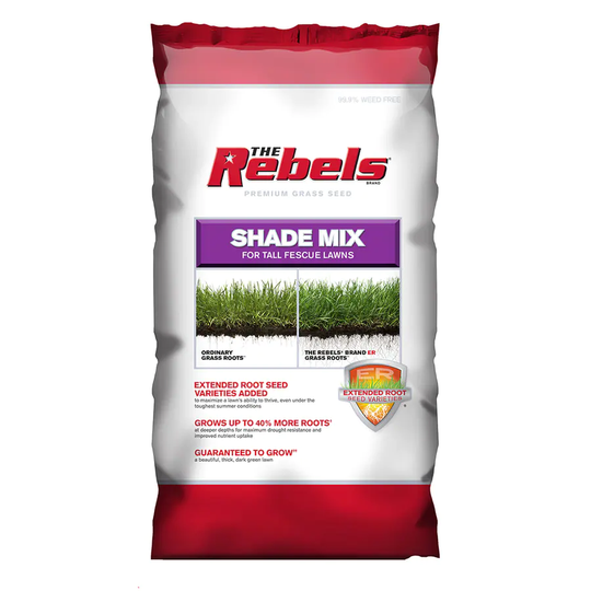 Rebel Premium 20-lb Mixture/Blend Grass Seed | 2149601335