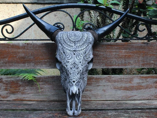 Cow Skull Carving - Real Hand Carved Cow With Horn, Wall Hanging, Decor