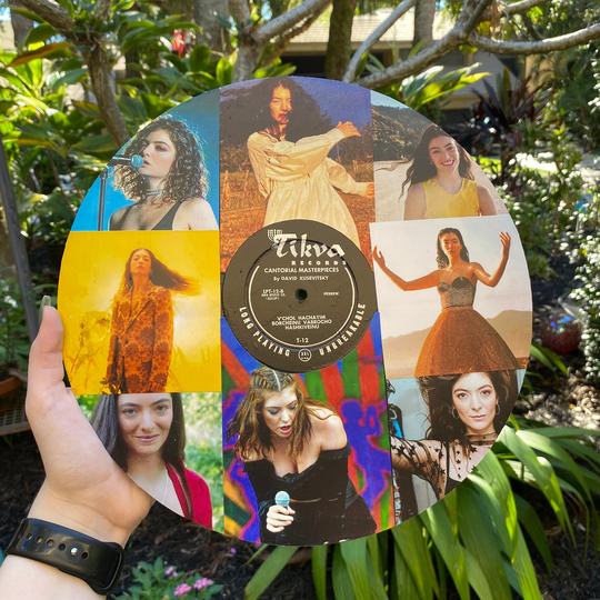 Lorde Vinyl Collage