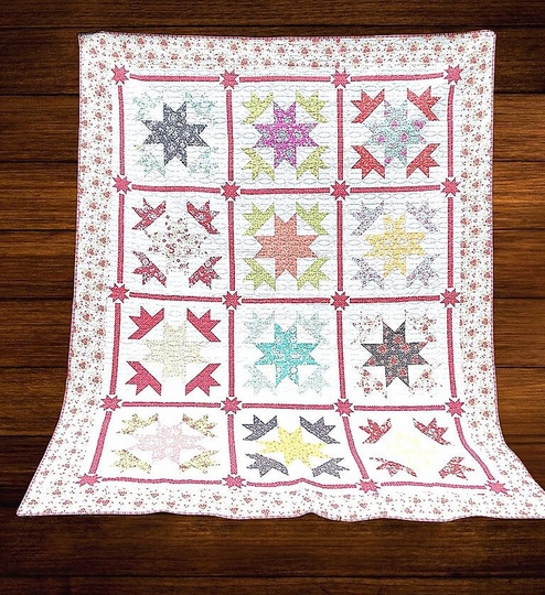 Cotton Fronk Quilt Kit Featuring Canning Day Collection By Corey Yoder From Moda Fabrics