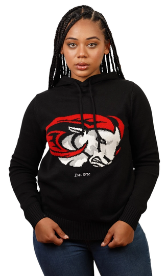 Winston Salem State University Knit Hoodie