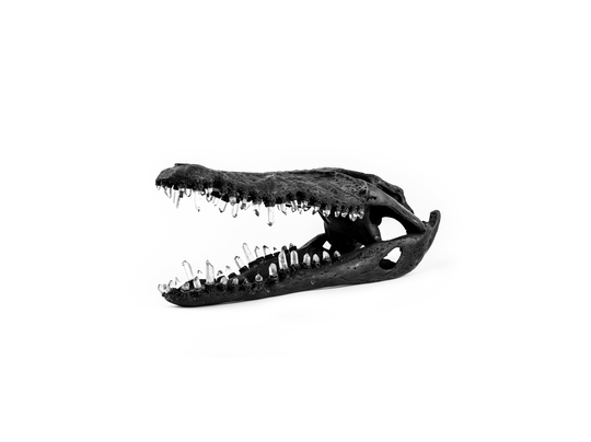 Bronze Metal Crocodile Skull With 66 Quartz Crystal Teeth Art Piece