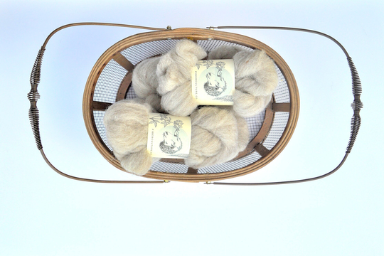 Local Blend Wool Spinning Fiber, Locally Grown Humane Wool, Sold By The Ounce, Polypay Dorset Sliver, Roving