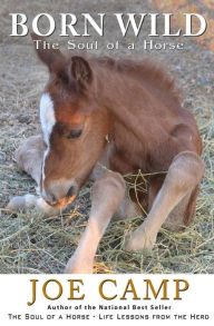 Born Wild - The Soul of a Horse Joe Camp Author
