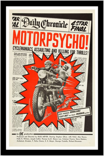 Vintage Decorative 1965 Film Motorcycle Biker Gang Motorpsycho Movie Poster