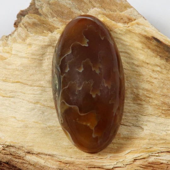 Ammonite Simbircite, Cabochon. High Quality Natural Stone Cabochon Healing Crystal Gemstone, 29.65x15.24mm, 26Ct