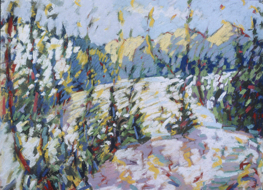 New "Snowfield, Colorado", 10 X 14", A Limited Edition Of Giclee Prints, Signed & Numbered