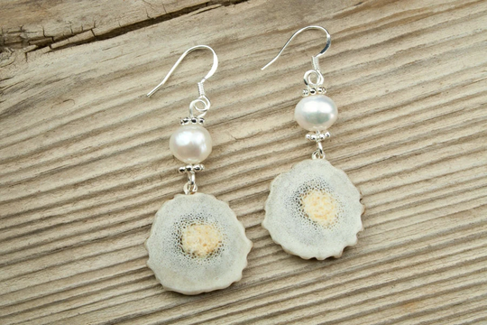 Deer Antler & Pearl Dangle Earrings