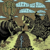 Betty's Self-Rising Southern Blends, Vol. 3 The Chris Robinson Brotherhood Primary Artist