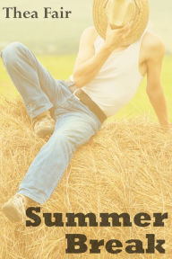 Summer Break Thea Fair Author