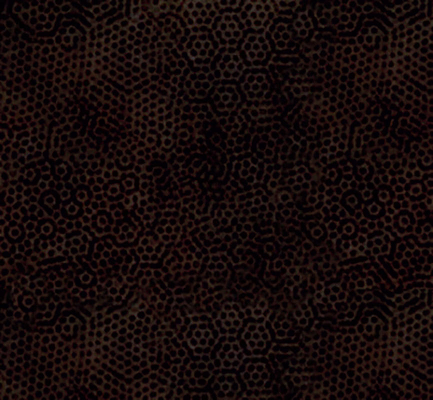 Dimples K3 - Peat Moss | Black-Brown Andover Blender By The Half Yard