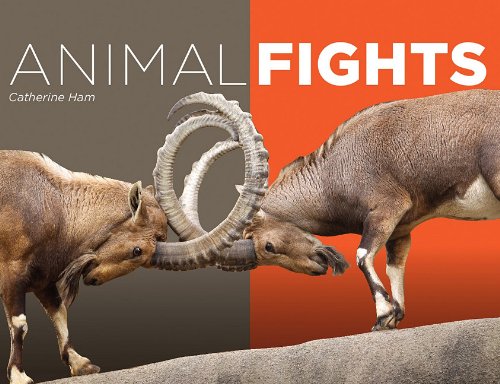 Animal Fights by Catherine Ham