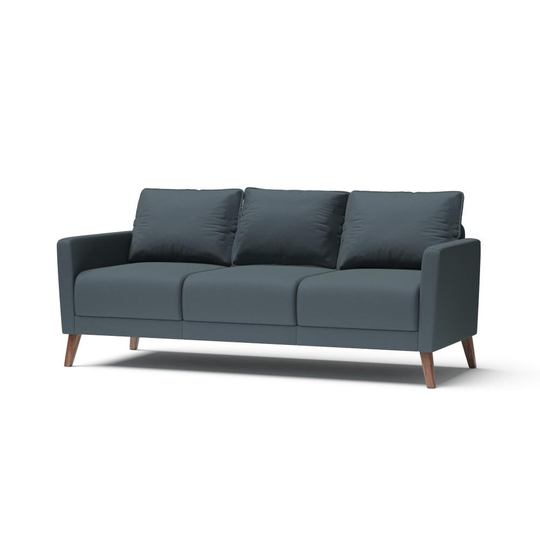 RST Brands Derna Modern Dark Gray Polyester/Blend Sofa | SL-SOF-BL-1-K