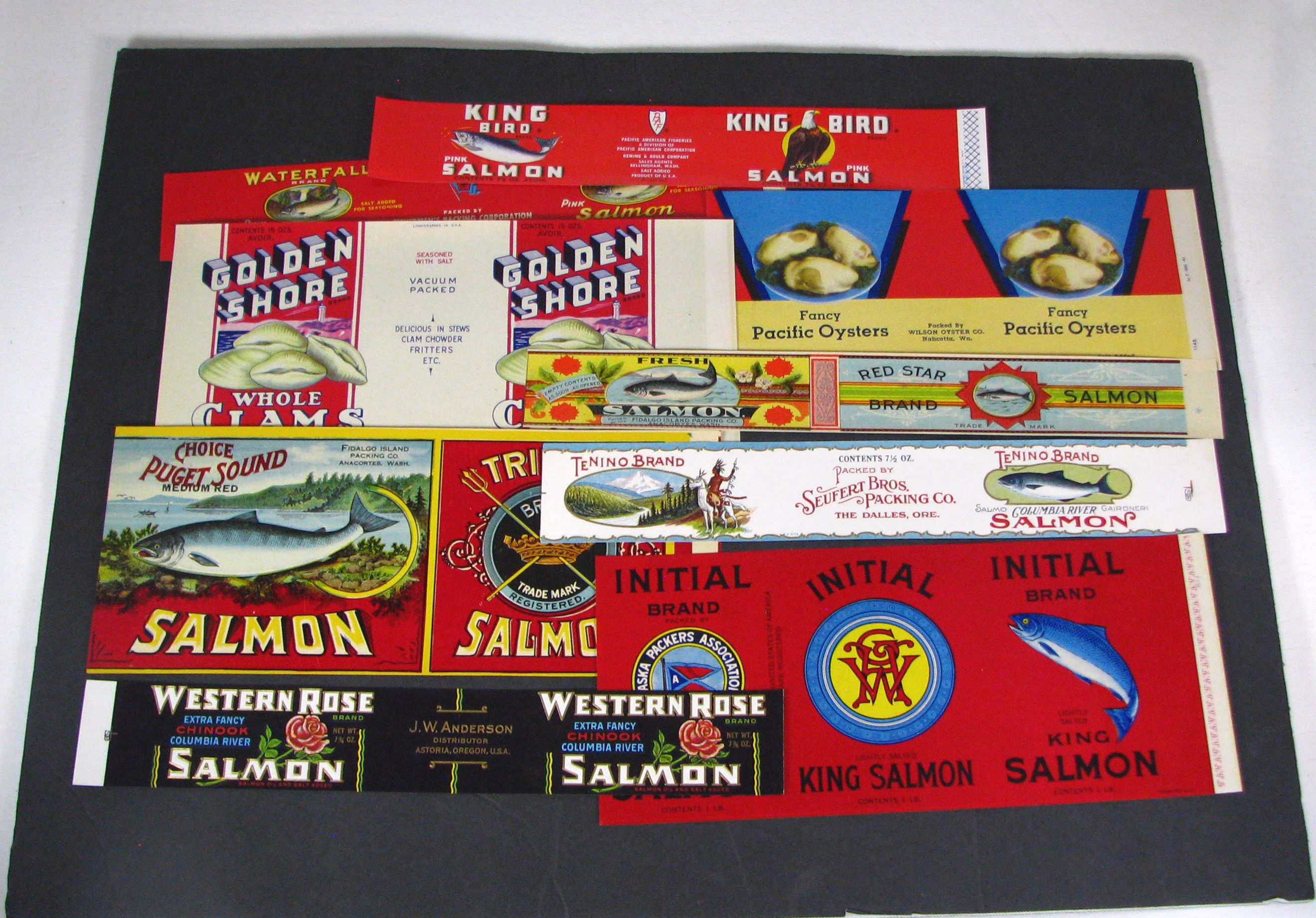 39 Dif Seafood Can Labels, Salmon, Oyster Clams Crabs Alaska Packers Association, Anacortes Wash