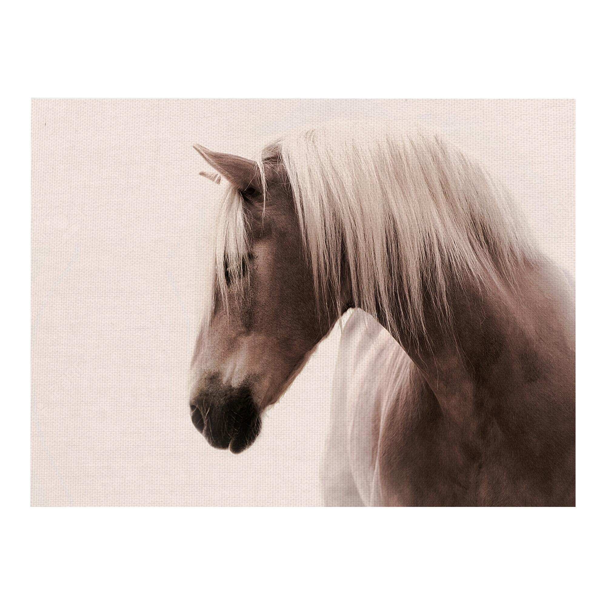 Magnificent in Sepia Canvas Wall Art: Brown - Large/Animals by World Market
