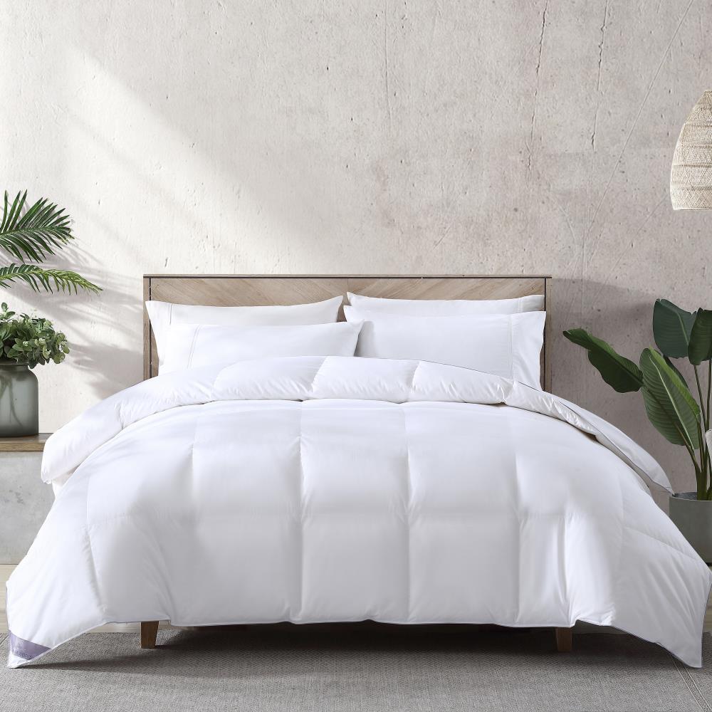 LoftWorks Loft Works Down Blend Comforter King Cotton in White | CF-D003-7K