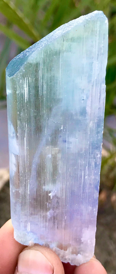 344 Carats Top Quality Damage Free Well Terminated Amazing Lusturous Bi Color Kunzite Spodumene Crystal