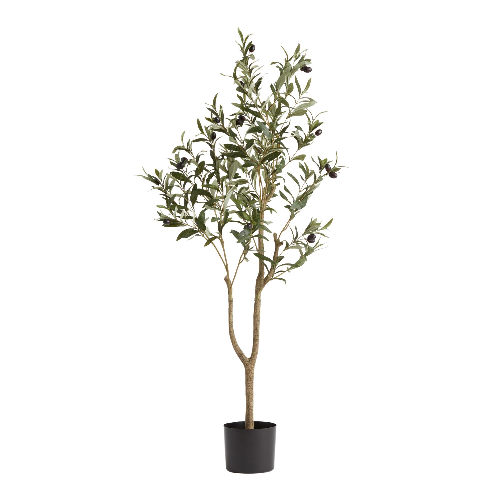 Faux Olive Tree by World Market