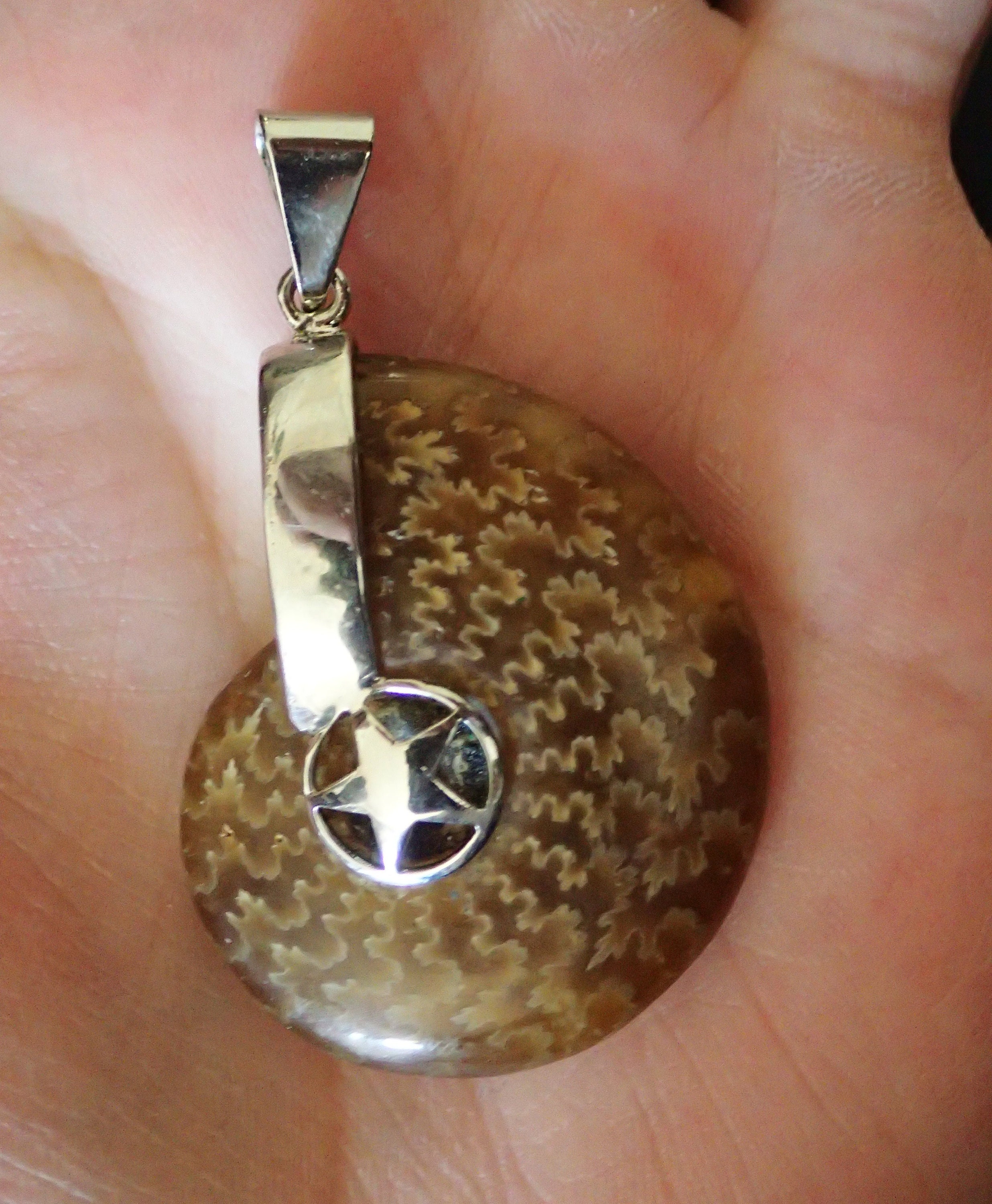 Fossil Ammonite Pendant in Sterling Silver Lone Star Center