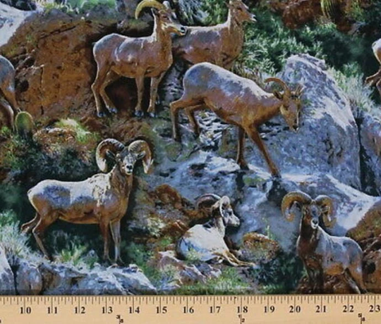 Cotton Wild Wings Rocky Grandeur Rams Horns Animals Scenic Mountan Fabric Print By The Yard | 53279-A620715 D467.05