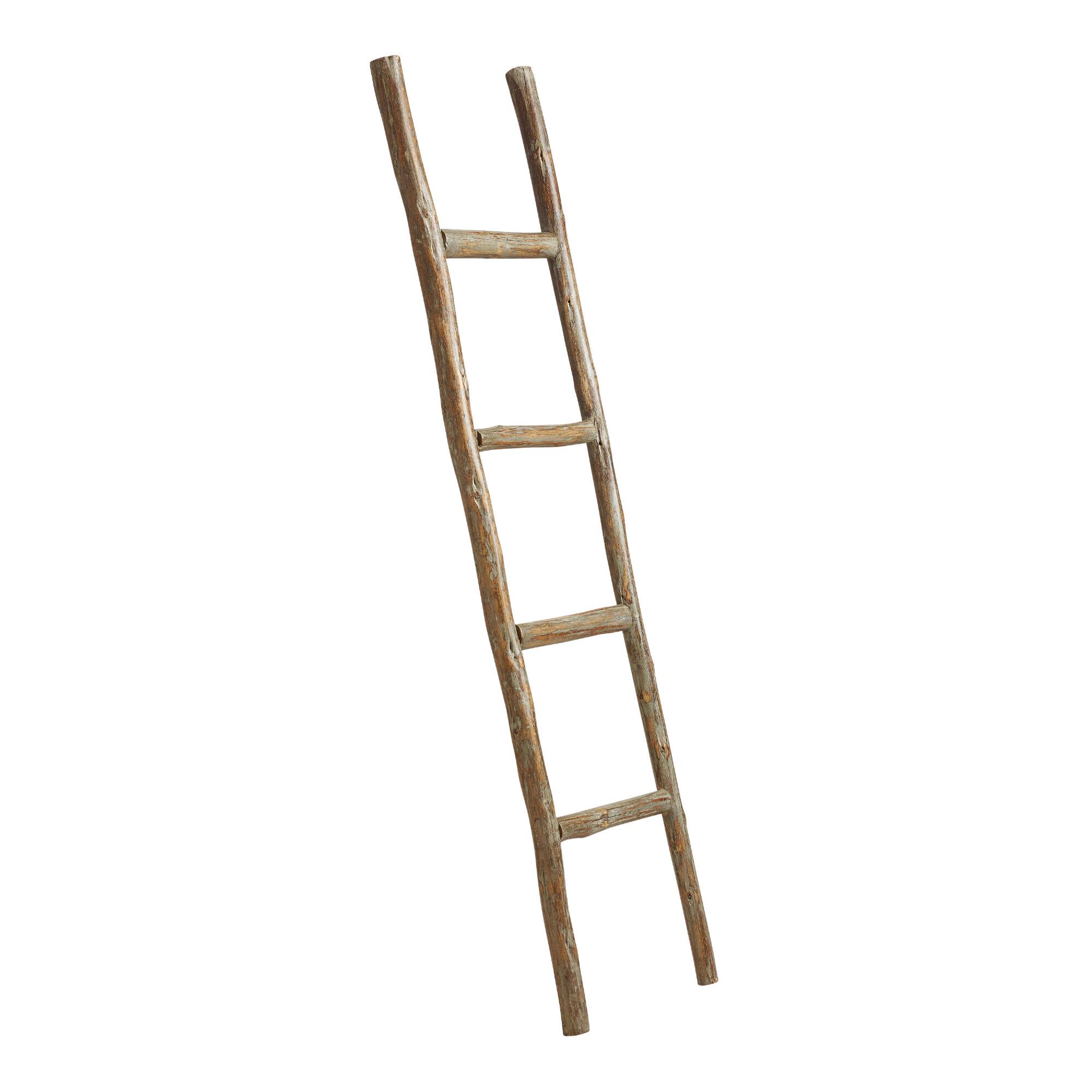 Natural Eucalyptus Ladder Decor - Wood by World Market