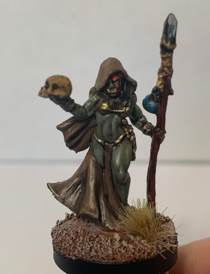 Pro Painted Orc Female Eye Of Gruumsh/Wizard Dnd Wizkids Nolzurs, 28mm Scale Dungeons & Dragons, Tabletop Miniature