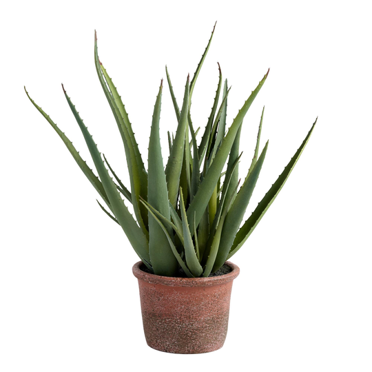 Faux Aloe Plant In Terracotta Pot by World Market
