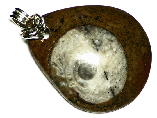 Genuine Ammonite Pendant in Sterling Silver, Natural Fossil Necklace, Teardrop Cut Stone, Gift For Student, Graduate Jewelry