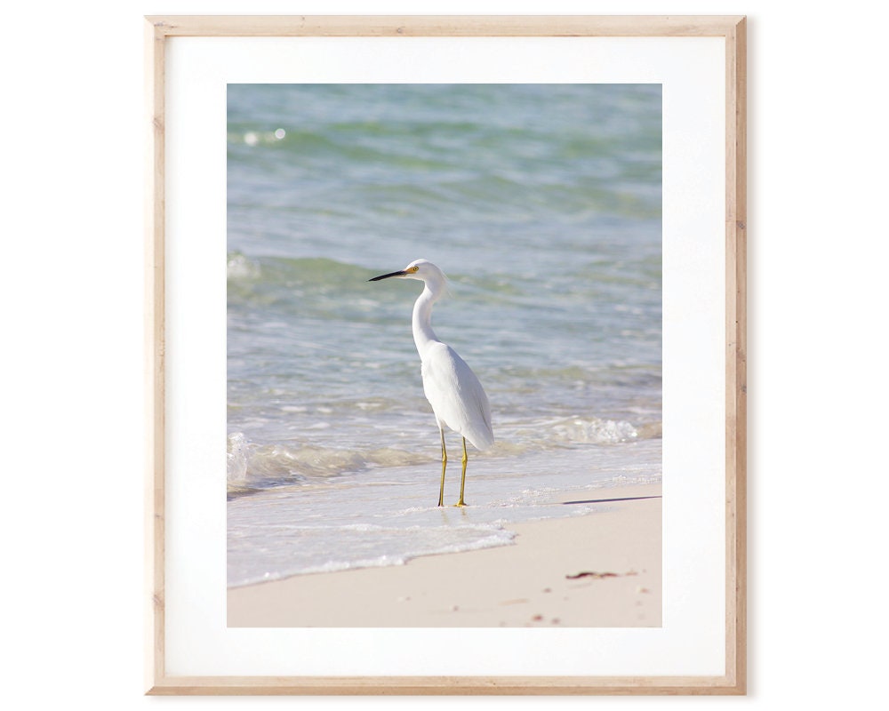 Snowy Egret By The Sea - Nature Photo Coastal Decor Large White Bird Print