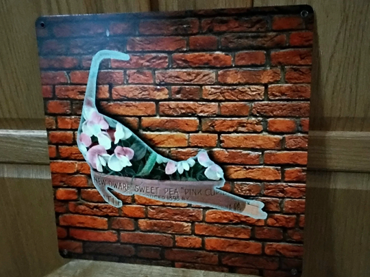 Cat Tin Wall Handing