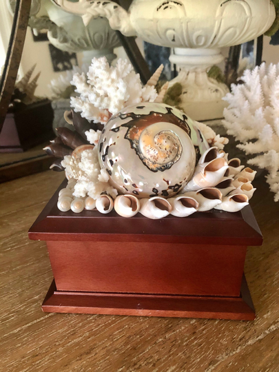 Patriotic Seashell Music Box, Home Decor, Retirement, Veteran, Military, Father's Day, Gift, Star Spangled Banner. Free Domestic Shipping