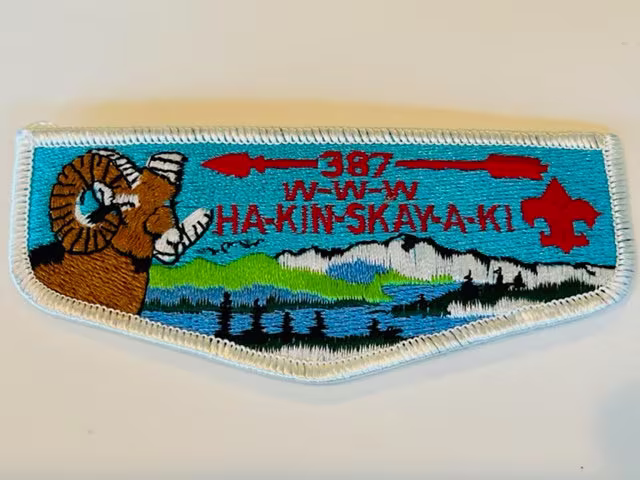 Boy Scouts Cub Girl Patch Vtg Council Badge Memorabilia 387 Www Hakinskayaki Ram