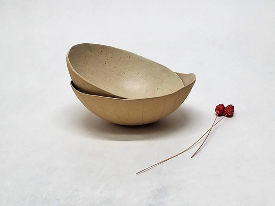 White Ceramic Pasta Bowl, Salad Soup Ramen Noodle Rice Rustic Bowl