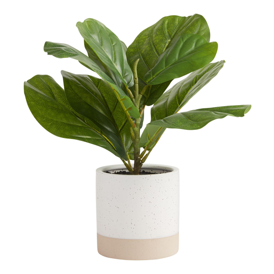 Faux Fiddle Leaf Fig Plant in Two Tone Cement Pot: Green - Plastic by World Market
