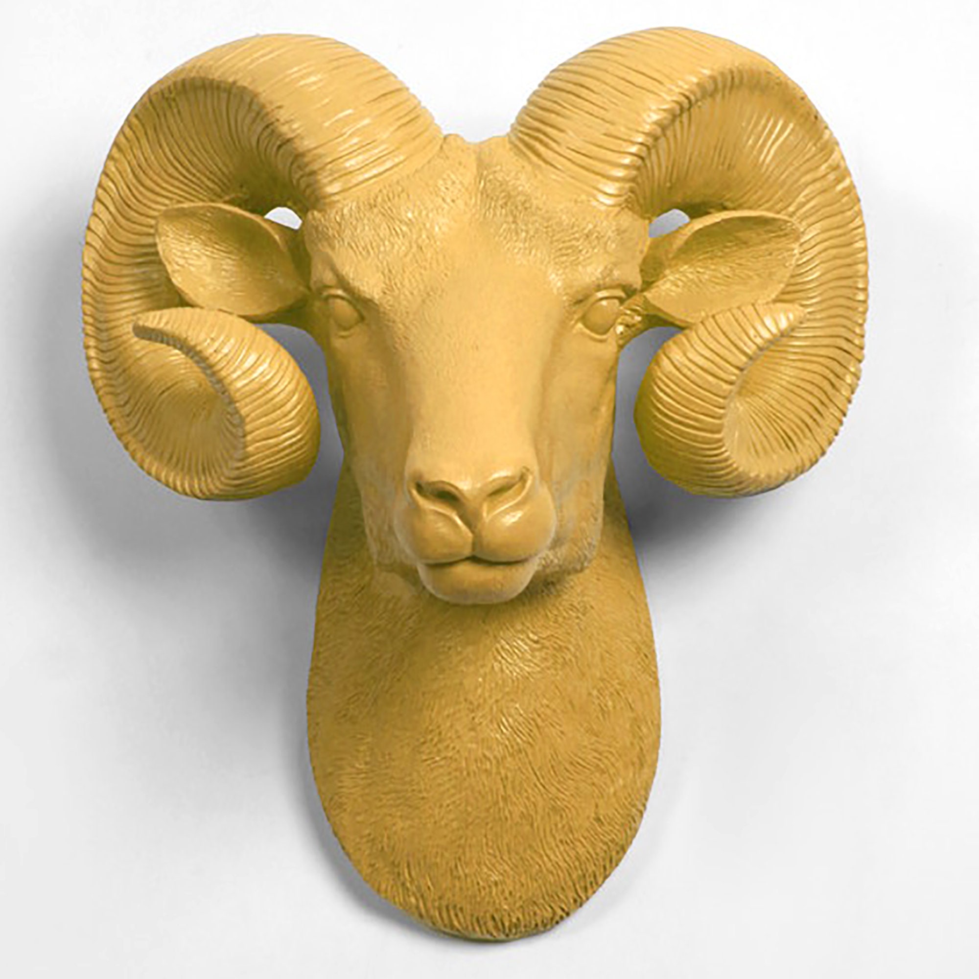 xl Mustard Ram Head Wall Mount - The Darby Rustic Bighorn Sheep/Ram, Modern Farmhouse Home Decor By White Faux Taxidermy