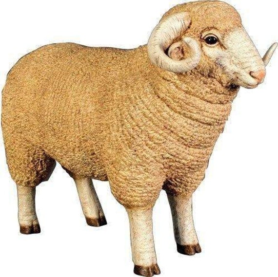 Baby Merino Ram Life Size Statue