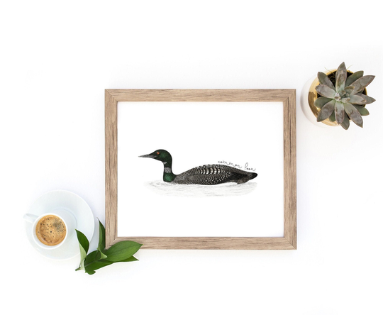 Minnesota Bird Wall Art, Common Loon, Gift For Lover, Lake House Decor, State Poster
