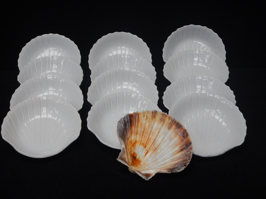 Set Of 12 French Vintage White Ceramic Scallop Plates - Restaurant Coquille St. Jacques Pl1/014