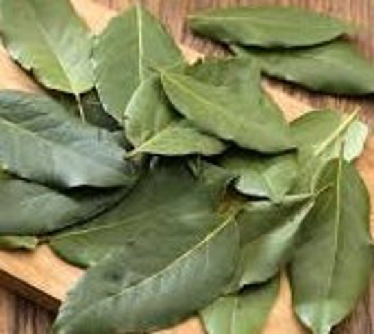 Gymnema Sylvestre Dry Leaf, Leaves Australian Cowplant Ram's Horn in Oz