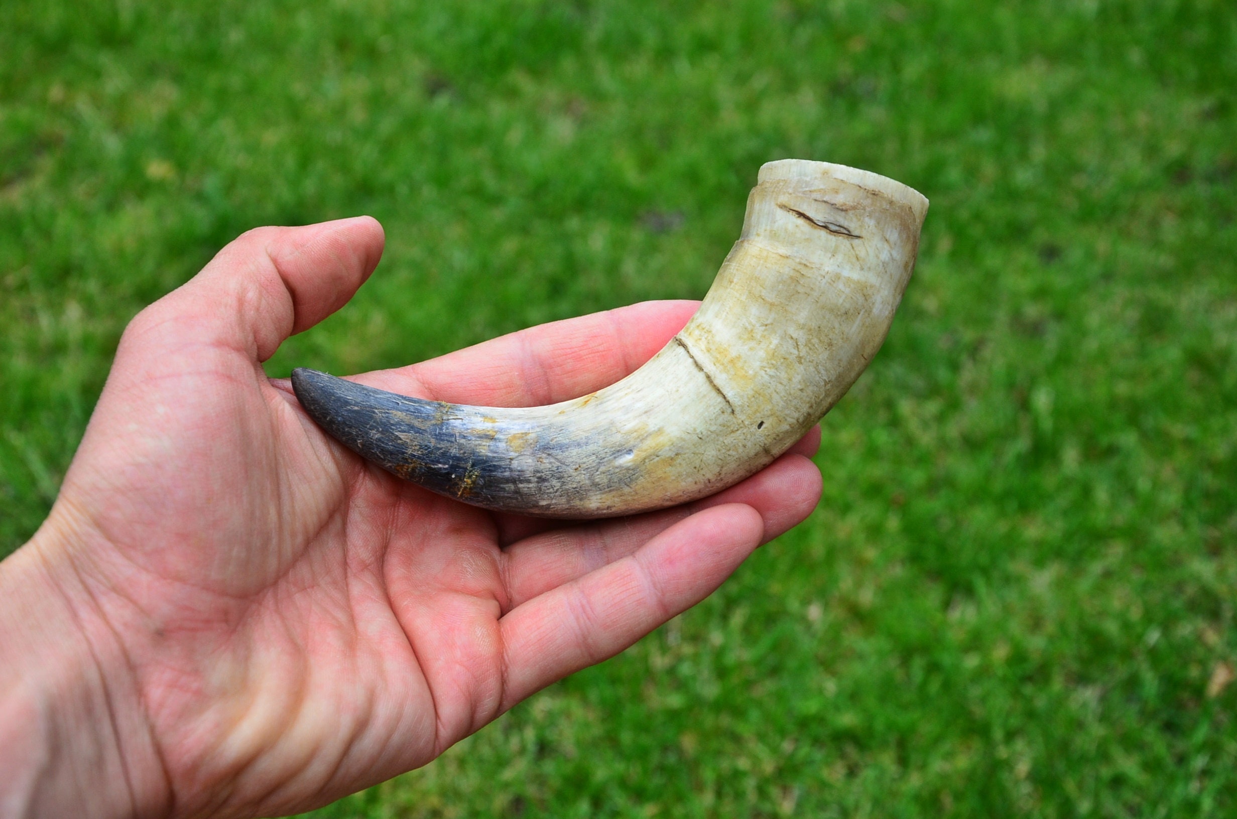 Vintage Natural Horn