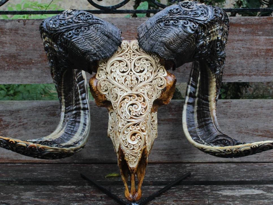 Carved Ram Skull With Horn - Big Ram Decor Carving | Wall Decor