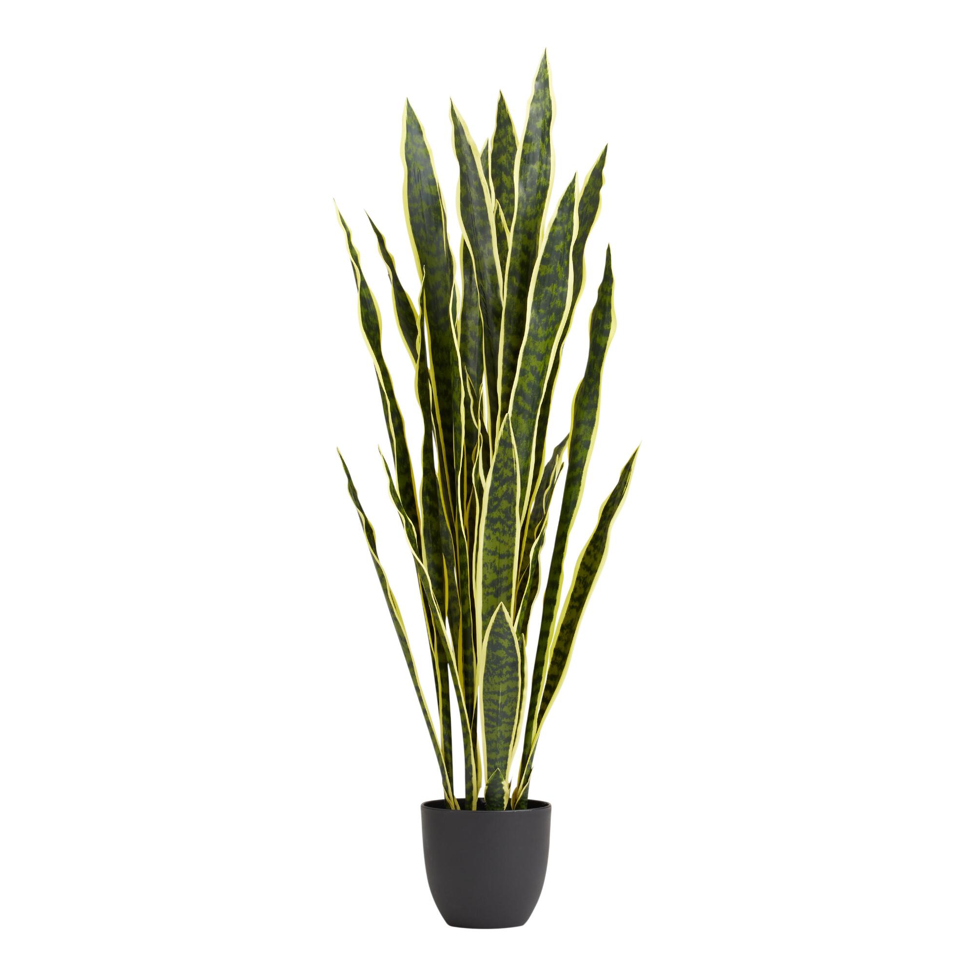 Faux Snake Plant by World Market