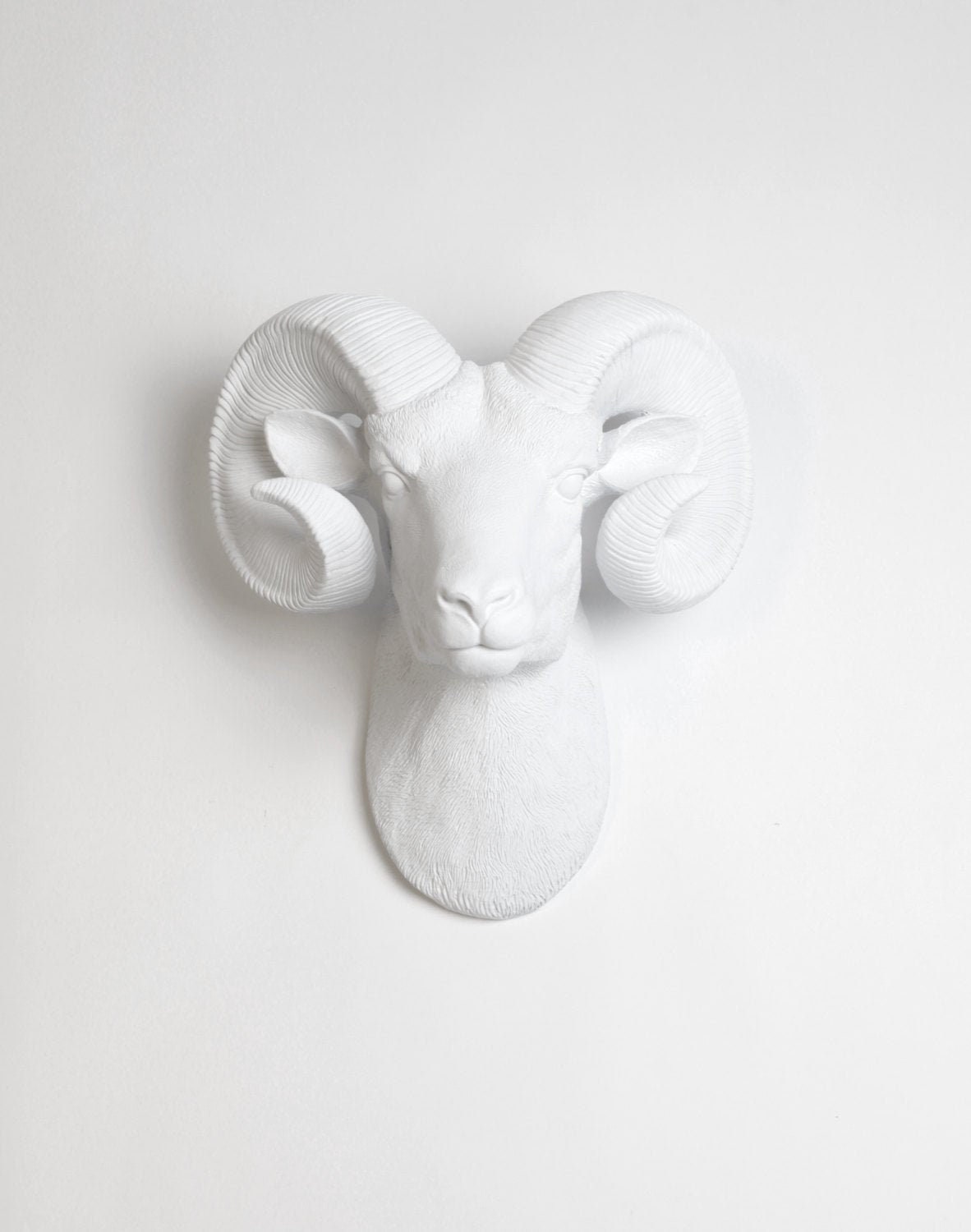 xl White Ram Head Wall Mount with Horns - The Darby Rustic Bighorn Sheep/Ram, Modern Farmhouse Home Decor By Faux Taxidermy