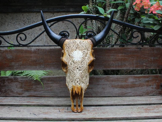 Cow Skull Carving - Real Hand Carved Cow With Horn