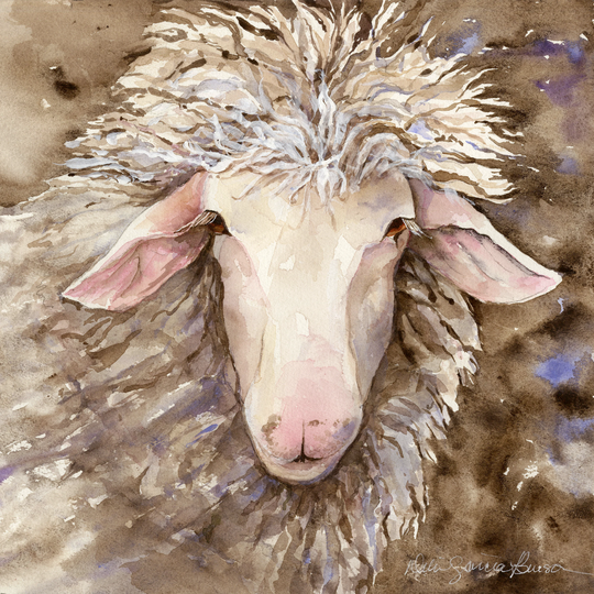 Irish Sheep Watercolor/ Square Print/ Galway Sheep/ Ireland Farm Animal/ Giclee Original Painting/ Debi Garcia-Benson